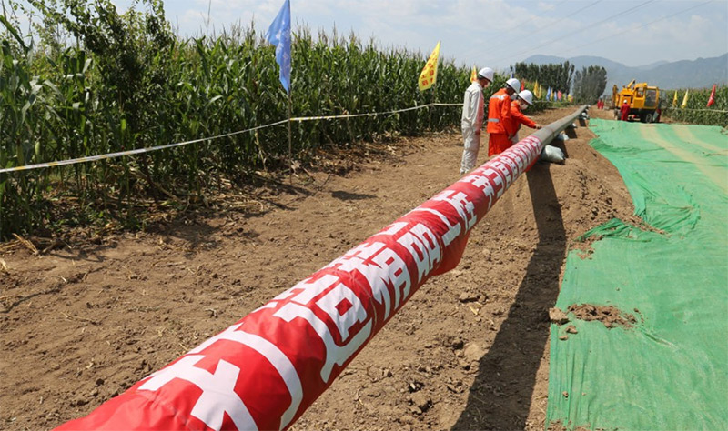 ��������(�й�)�ٷ���վ